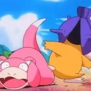 やどんの画像