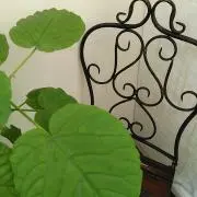 yusanの画像