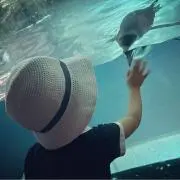 Chiccaの画像