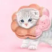 mikeの画像