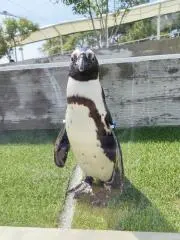 こーよー∞