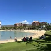 acoの画像