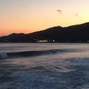 Maaの画像