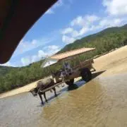 もに プロフ見て頂きたいです。の画像