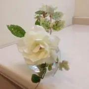 sakura-saku