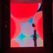 うめの画像
