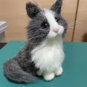 ゆきの画像