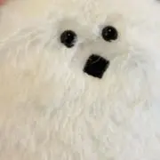 じなの画像