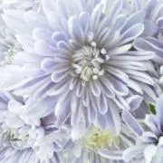 あき
