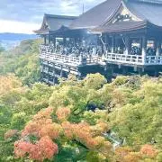 はやとの画像