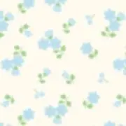 ⭐︎の画像