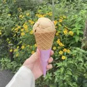 ちゃむの画像
