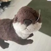 かわうそくんの画像