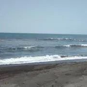 きむこきのこの画像