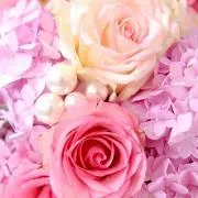 えり