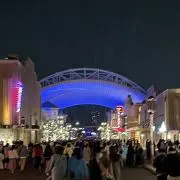 そこらの画像