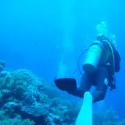 たまごもちの画像