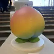 Chaymの画像
