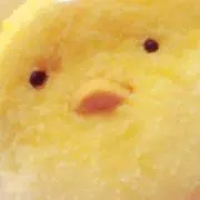 さささ