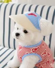 marumochiの画像