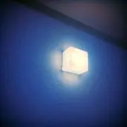 まい