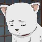 もぶの画像