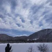 おうおの画像