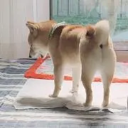 ☆まめ☆値下げ交渉不可の画像