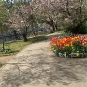 みい