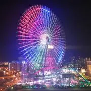 ゆきうさぎの画像