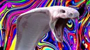 AAAの画像