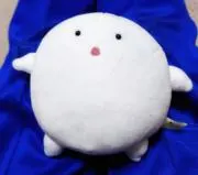 沙織の古着屋さん✾✾