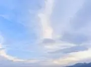まるもこもこまるるの画像