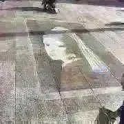 おたかの画像