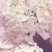おだまきプロフ必読‼️ペットタバコ無しの画像