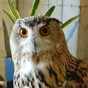 みさちん