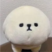 ころちの画像
