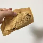 ma_koの画像