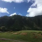 BIG BOSSの画像