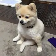 #RINの画像