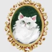 は。の画像