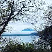 モーニングヒルの画像