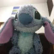 ゆかかりの画像