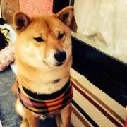 みおん【プロフ必読】