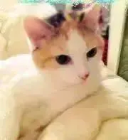かっちん