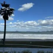 umiの画像