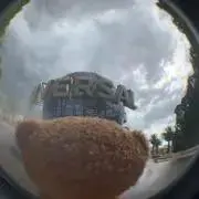 てぃむの画像