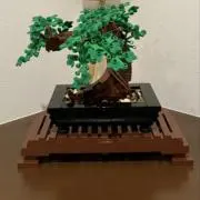 ボンサイ。