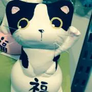 fuku11