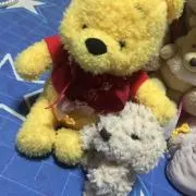 ともちんの画像